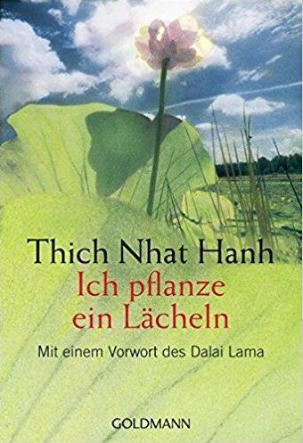 Buch-Cover Thich Nhat Han