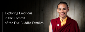 Working with Emotions in the Context of the Five Buddha Families