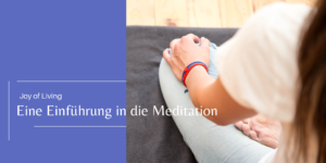 2023 Joy of Living Einführung Meditation